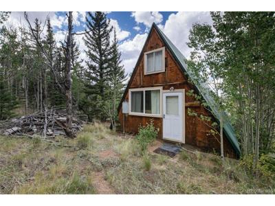 63 Welsh Cob Ln