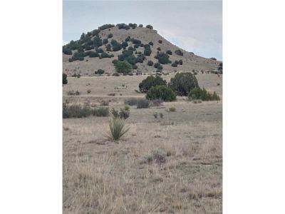 62 Horse Creek Rd