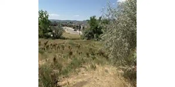 Image 2 Image 2