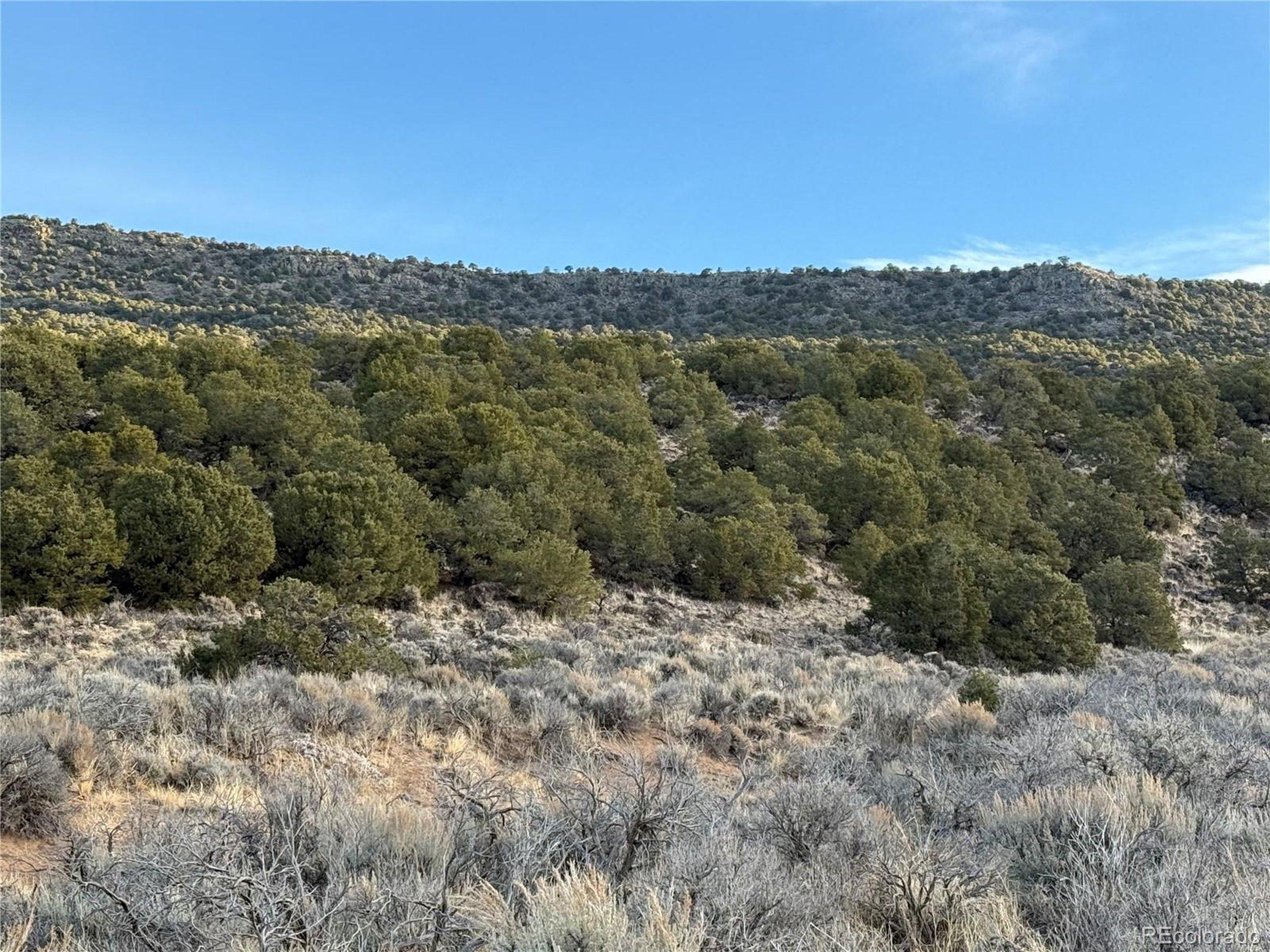 Image 4 Image 4