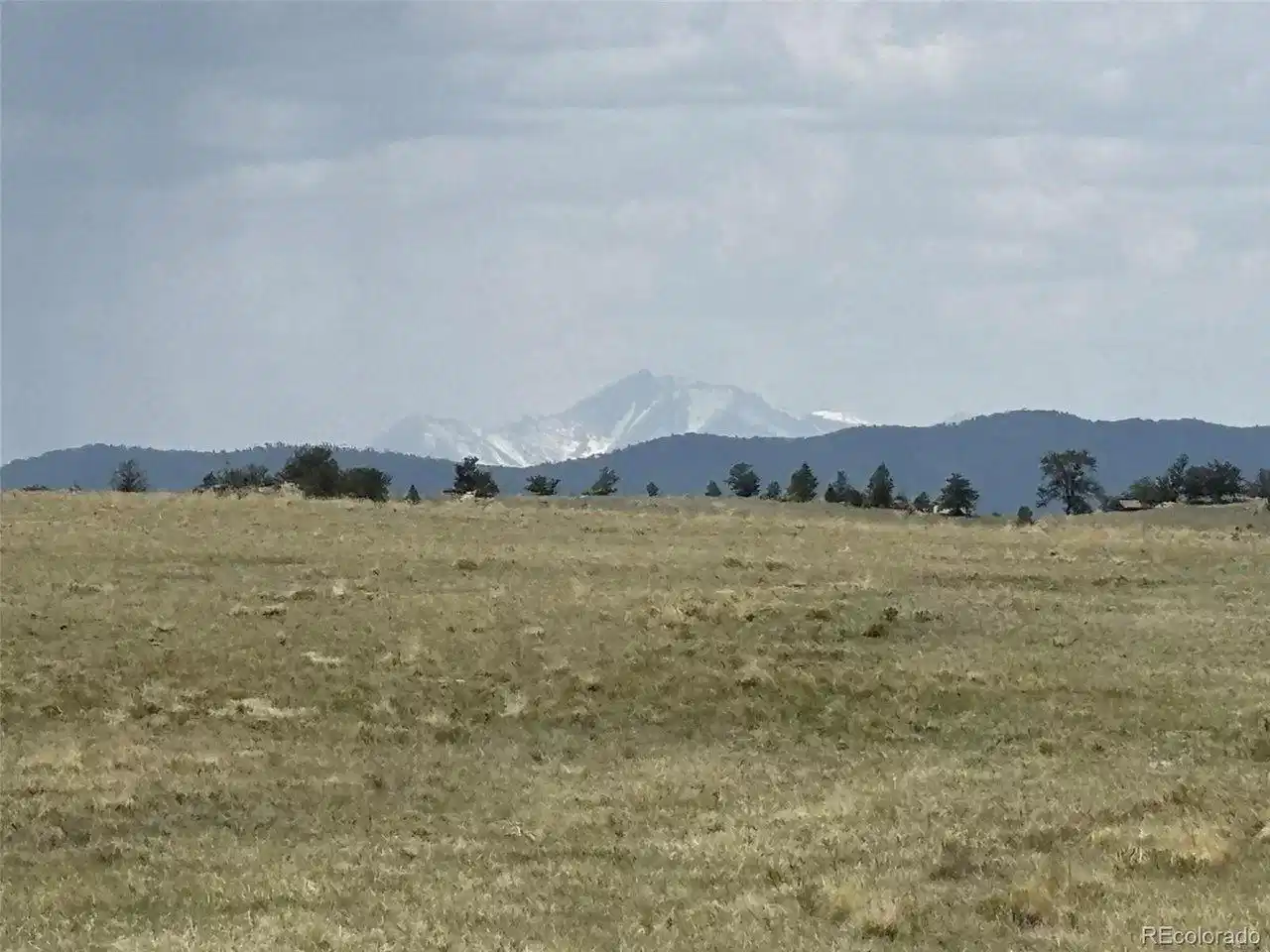 Image 1 Image 1