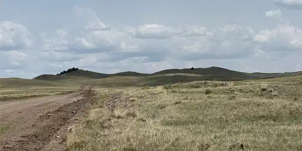 Image 3 Image 3