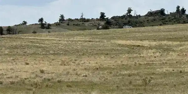 Image 4 Image 4