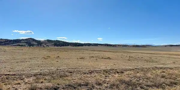 Image 4 Image 4