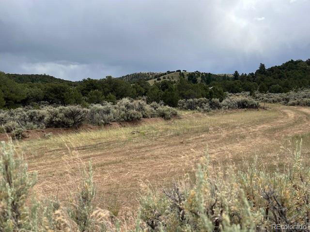 Image 3: Looking S on Richard toward the end of the cul de sac.