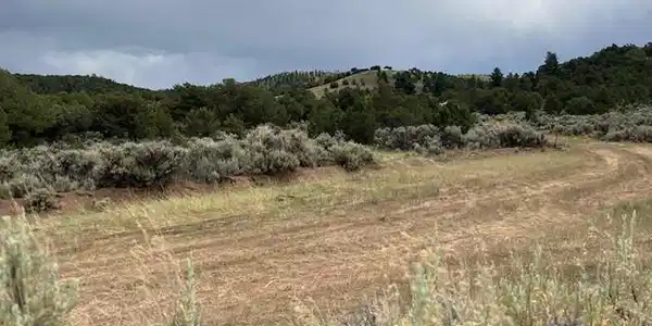 Image 3: Looking S on Richard toward the end of the cul de sac. Image 3: Looking S on Richard toward the end of the cul de sac.