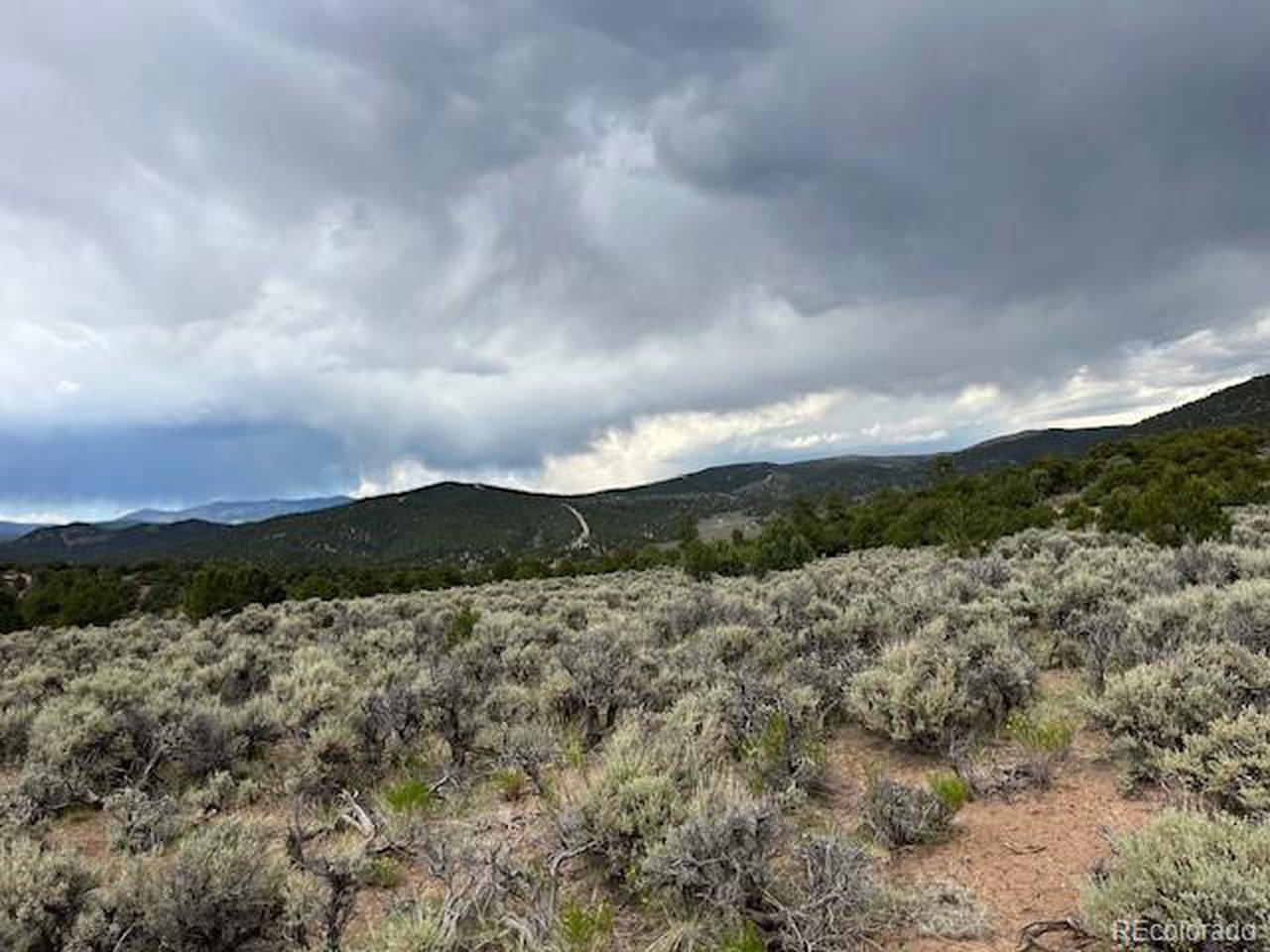 Image 4: Looking N across the property.