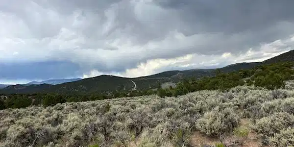 Image 4: Looking N across the property. Image 4: Looking N across the property.