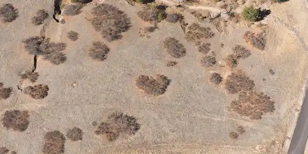 Image 4 Image 4