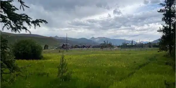 Image 3 Image 3