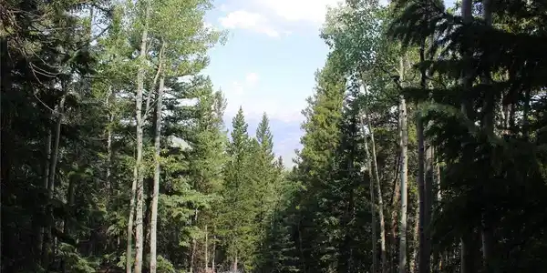 Image 4 Image 4