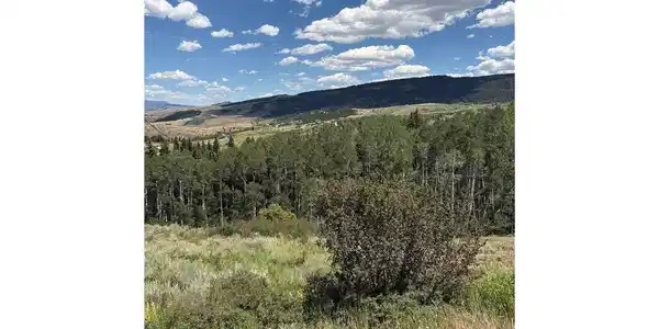 Image 3 Image 3