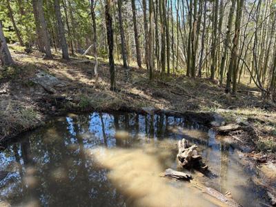 2174 Bear Gulch Rd
