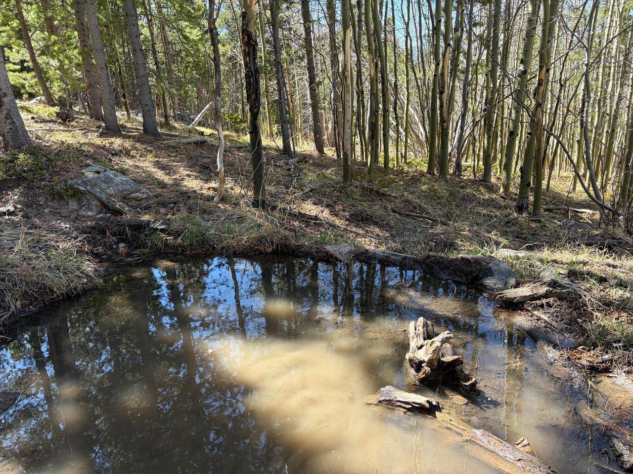 Image 1 Image 1