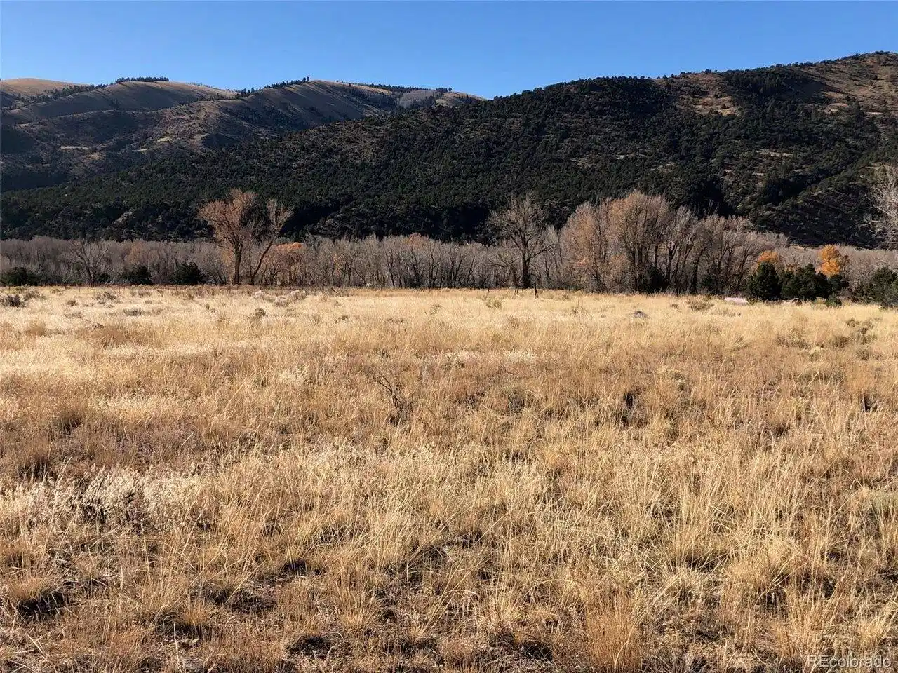Image 1 Image 1