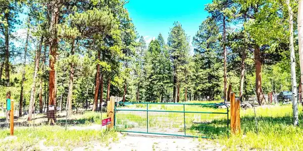 Image 2: Front Entrance | Flat Lot w/ an Abundance of Trees | Cleared Area to Build