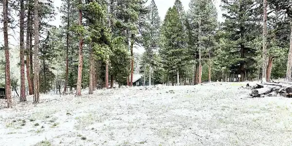Image 3: Build Your Mountain Escape | 45 Min SW of Denver Metro