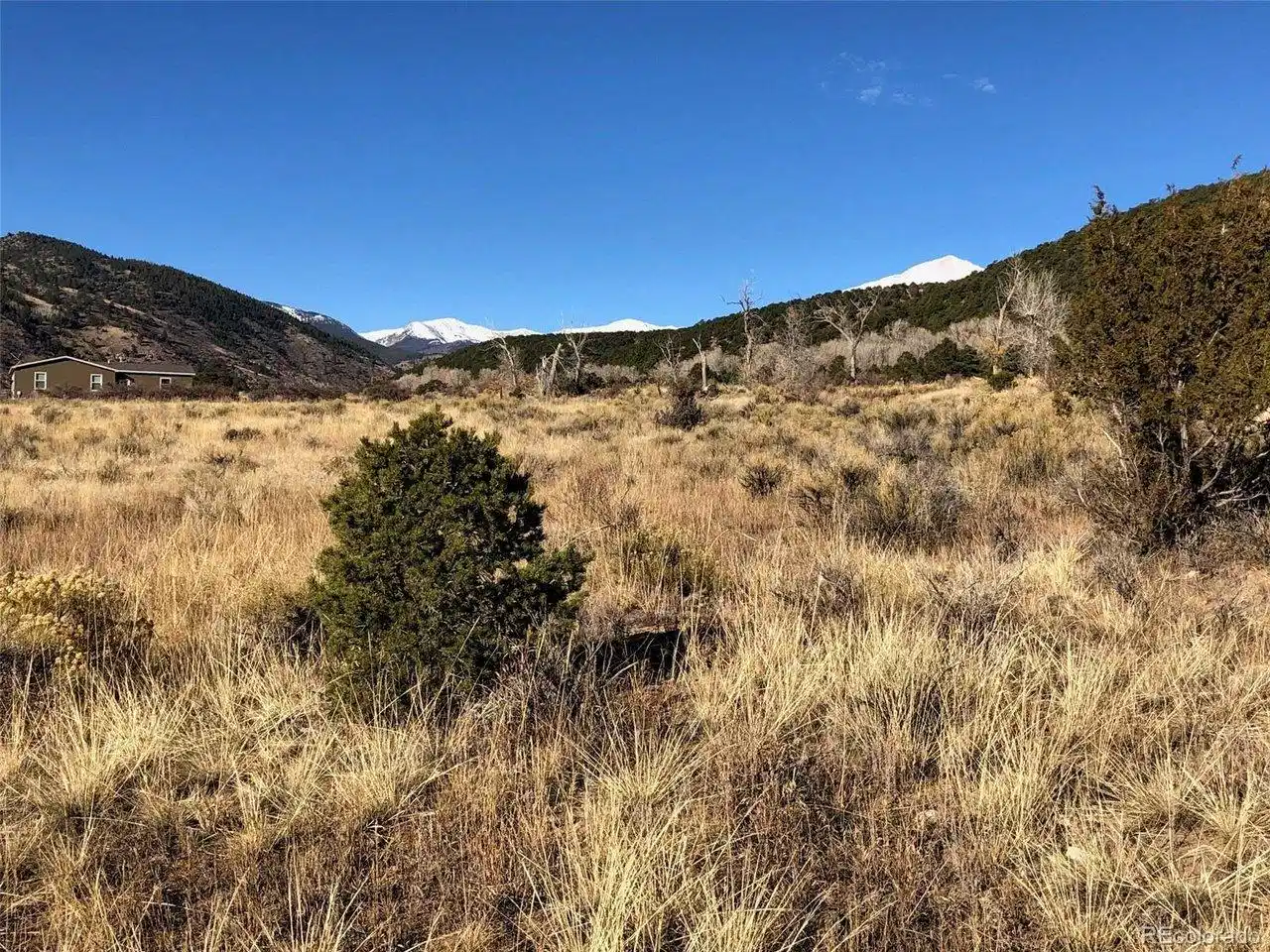 Image 1 Image 1
