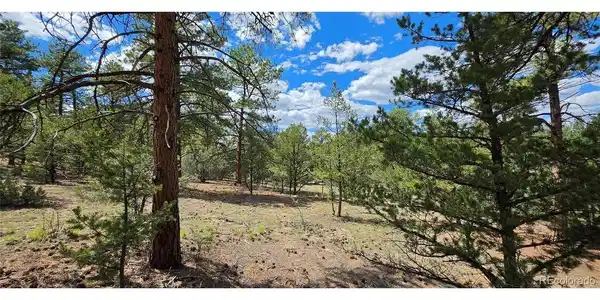 Image 3 Image 3