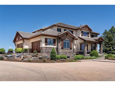9677 Sara Gulch Cir