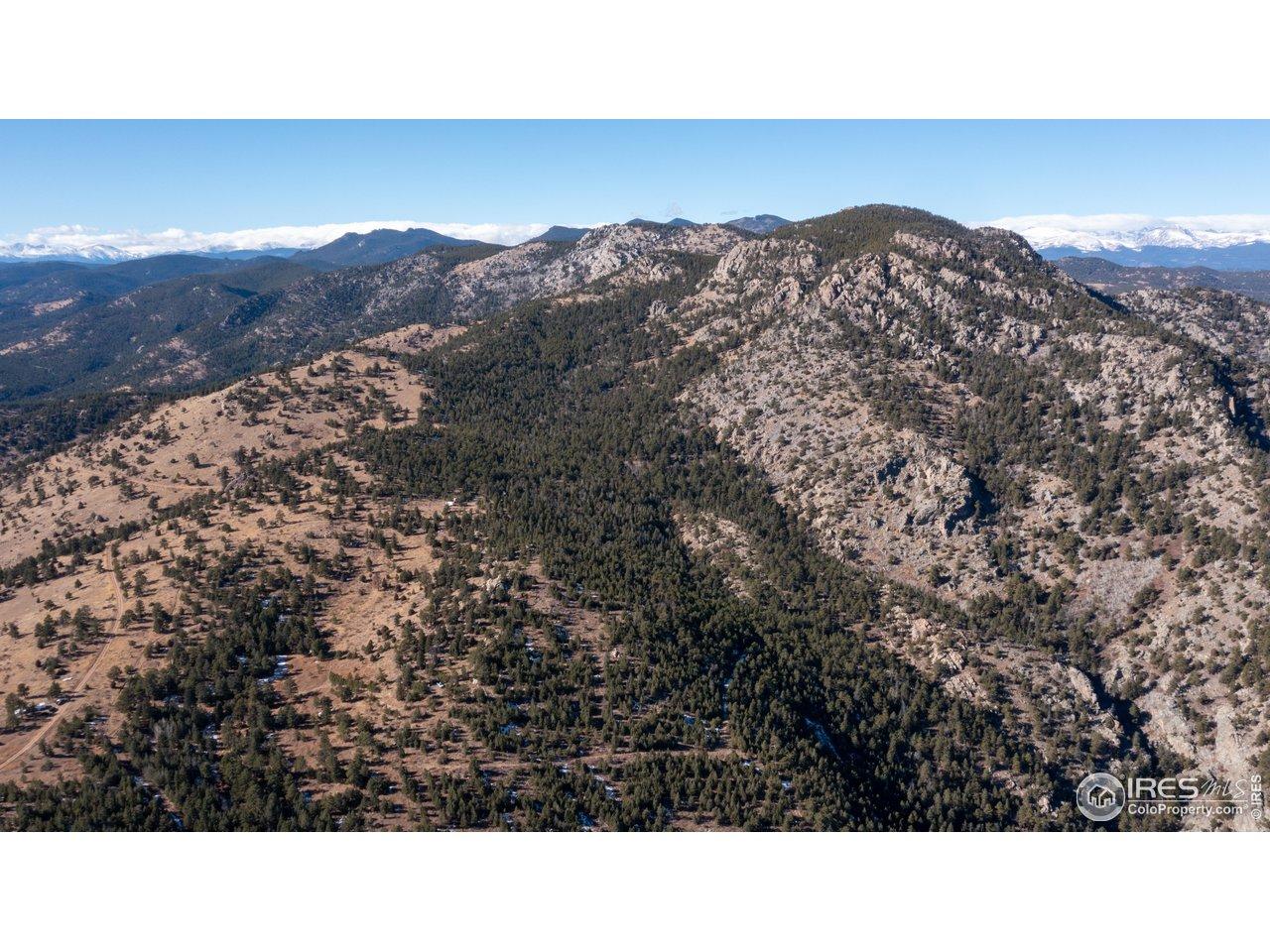 Image 3 Image 3
