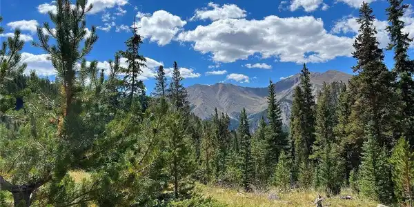 Image 3 Image 3