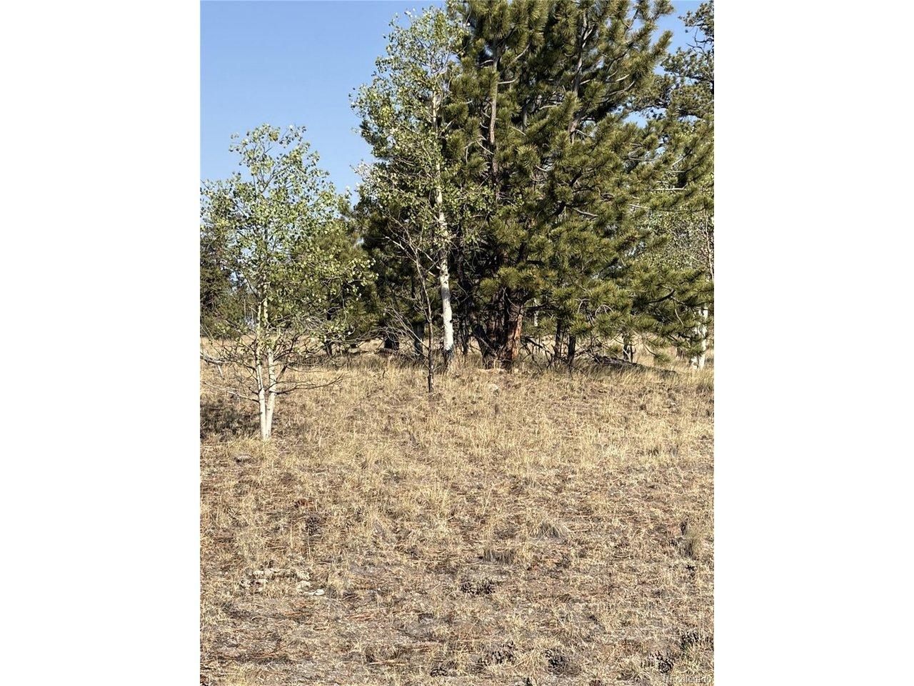 Image 3 Image 3