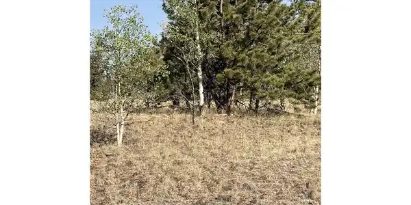 Image 3 Image 3