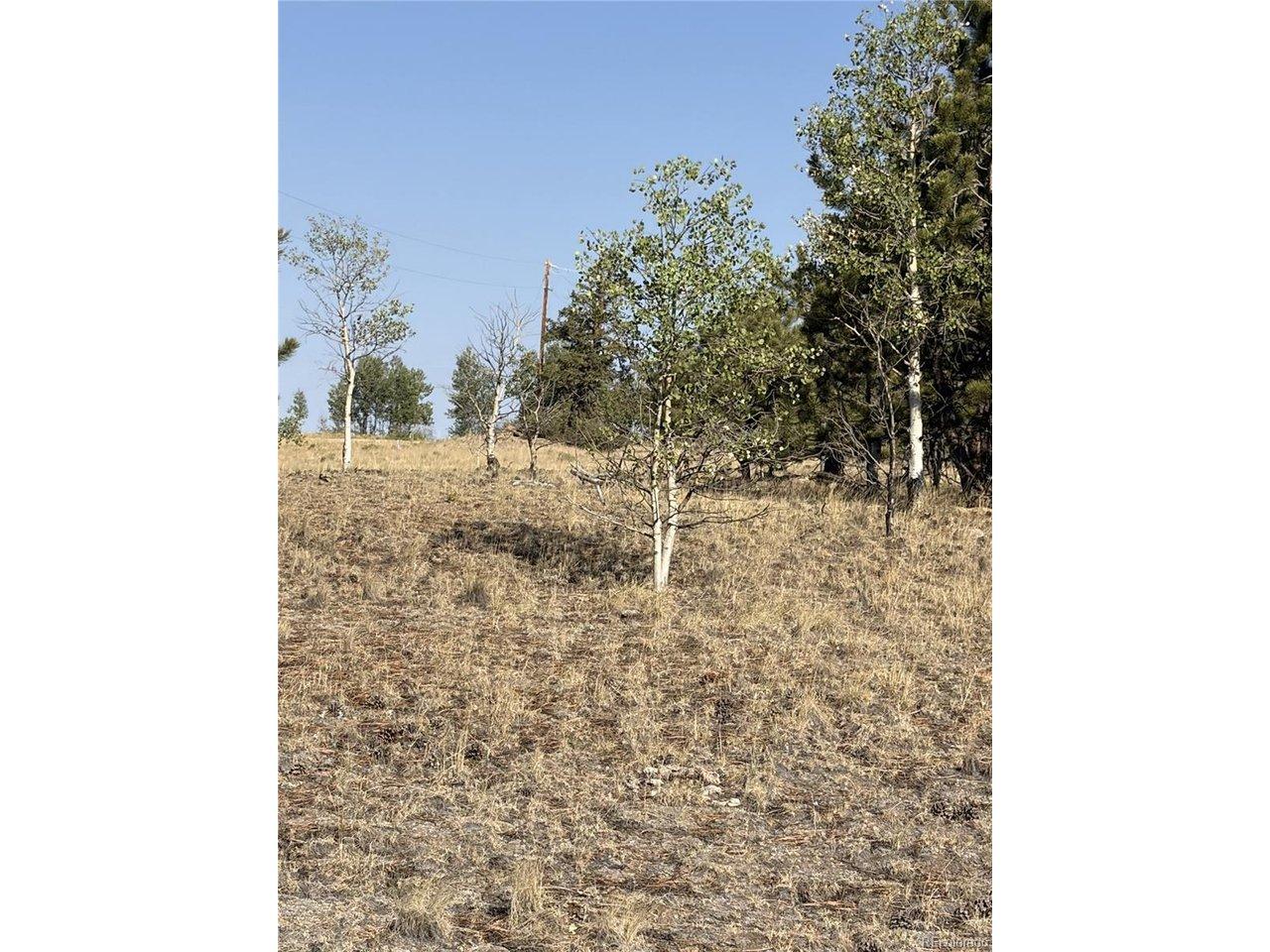 Image 4 Image 4
