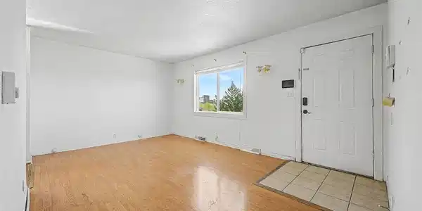 Image 4 Image 4