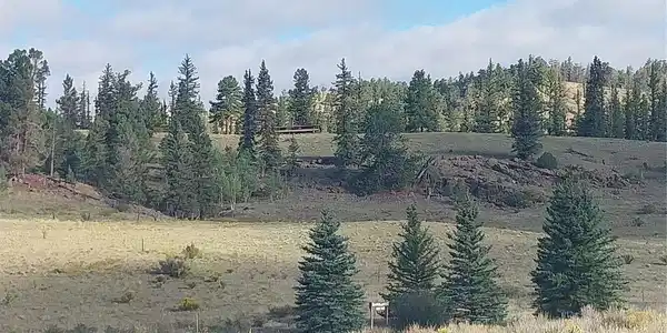 1167 Latigo Loop