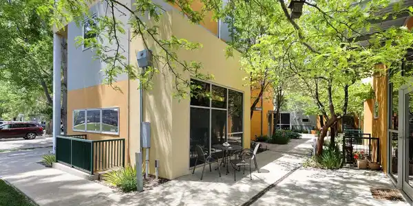 Image 2: Courtyard lush vegetation