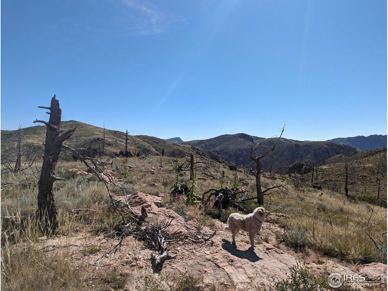 Image 3 Image 3