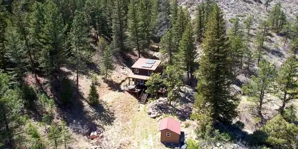 Image 3: Nestled in the Pines Image 3: Nestled in the Pines