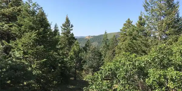 Image 4 Image 4