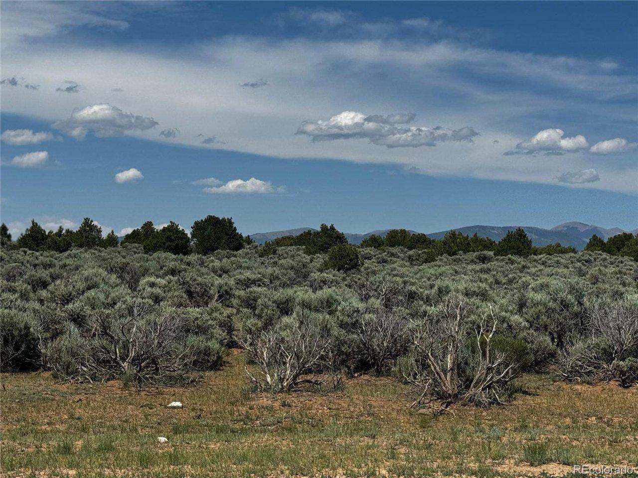 Image 4 Image 4