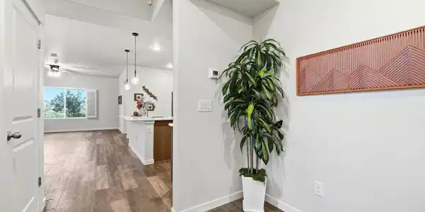 Image 2 Image 2