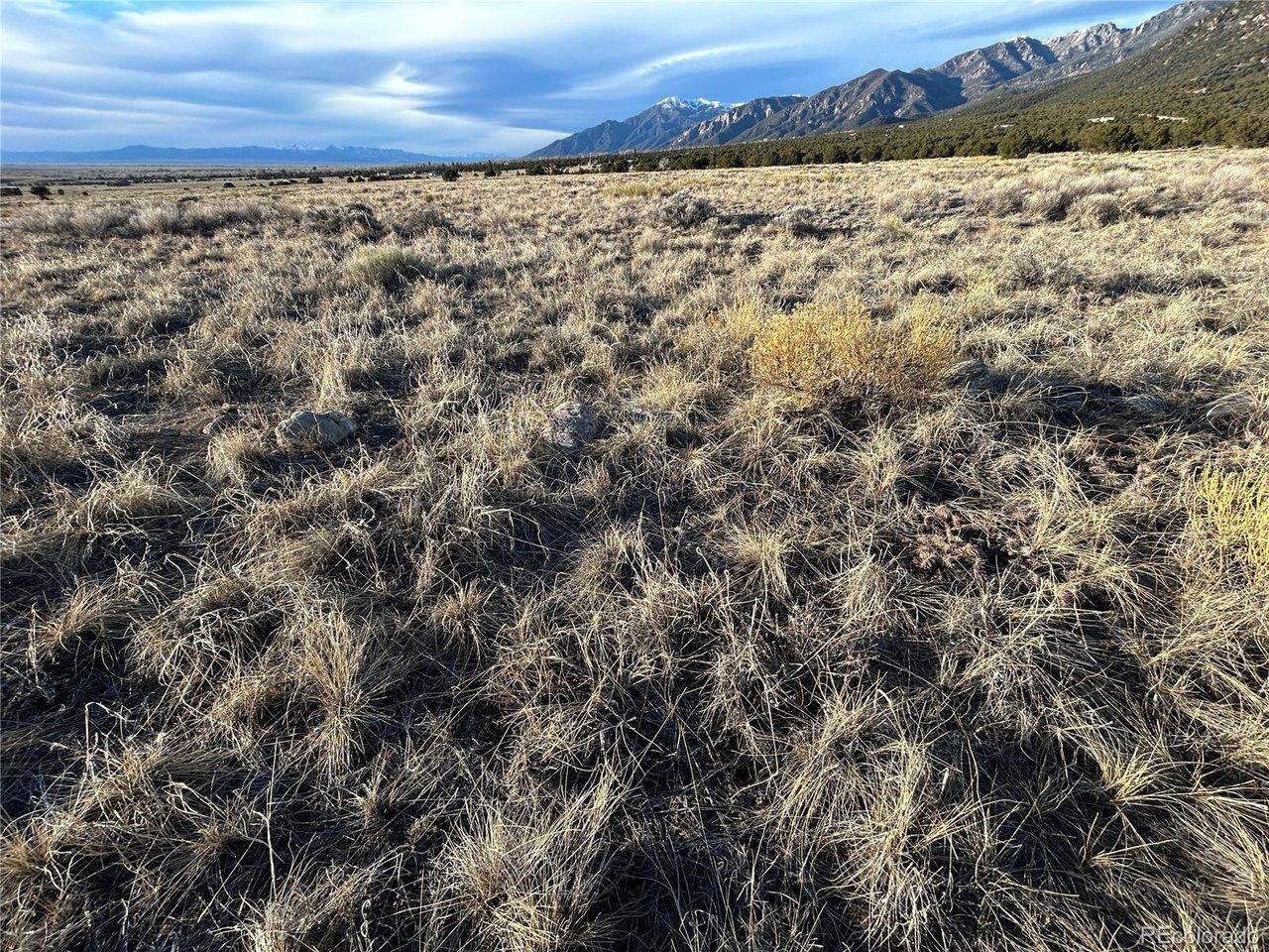 Image 3: Ground view of land showing desert grass.