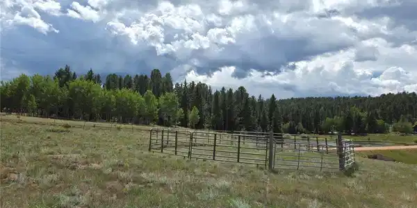 Image 4: Expansive open field with scattered natural grasses, a metal fenced enclosure, and a forest of mature trees and pond in the background Image 4: Expansive open field with scattered natural grasses, a metal fenced enclosure, and a forest of mature trees and pond in the background