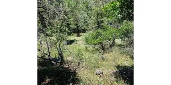 Image 4 Image 4