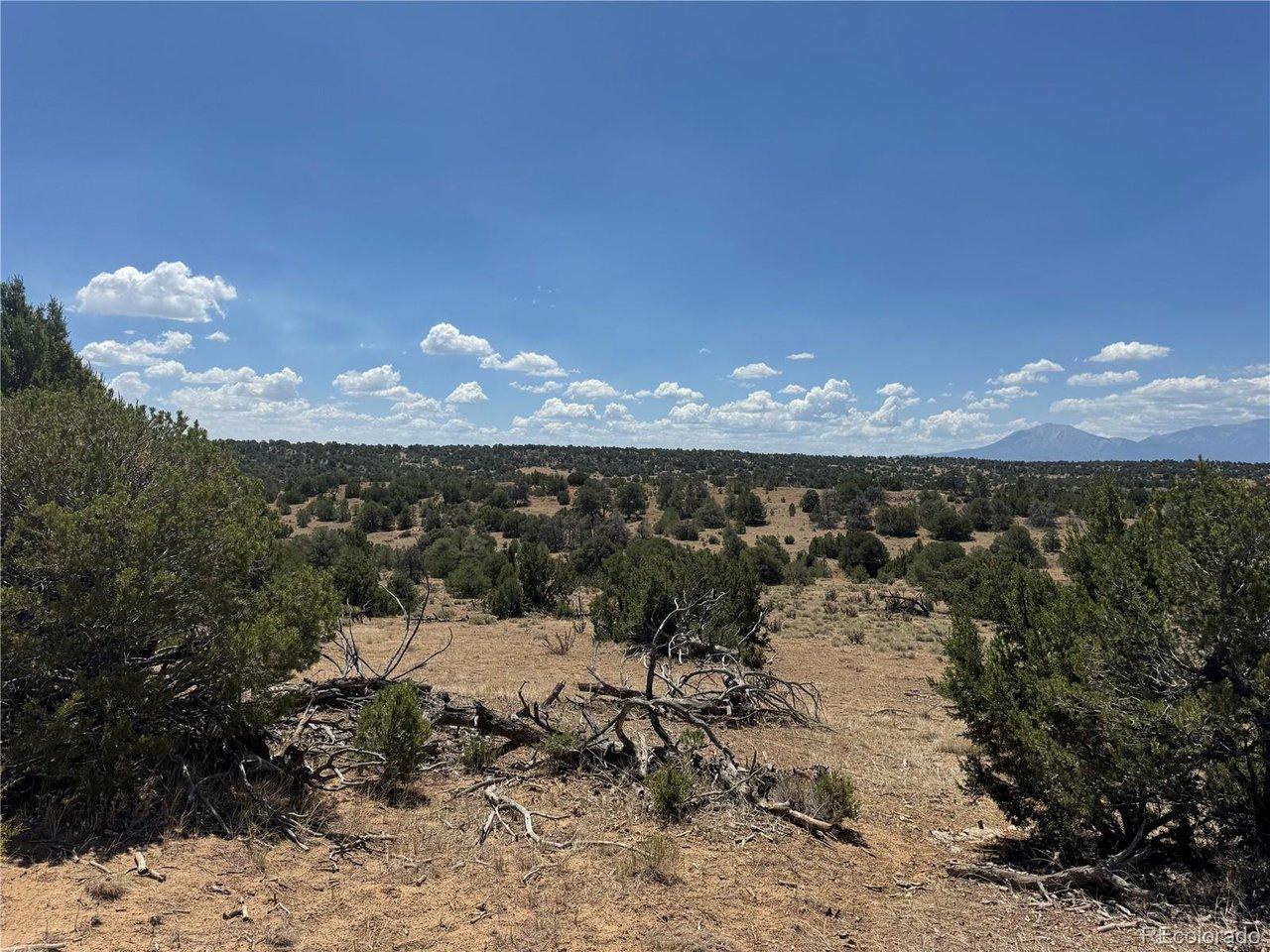 Image 4 Image 4