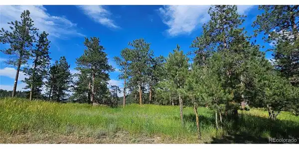 Image 3: Gentle open meadow Image 3: Gentle open meadow