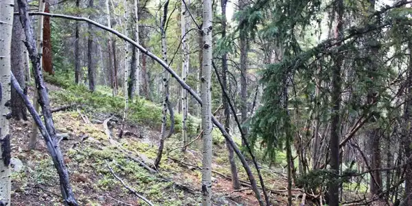 Image 2 Image 2