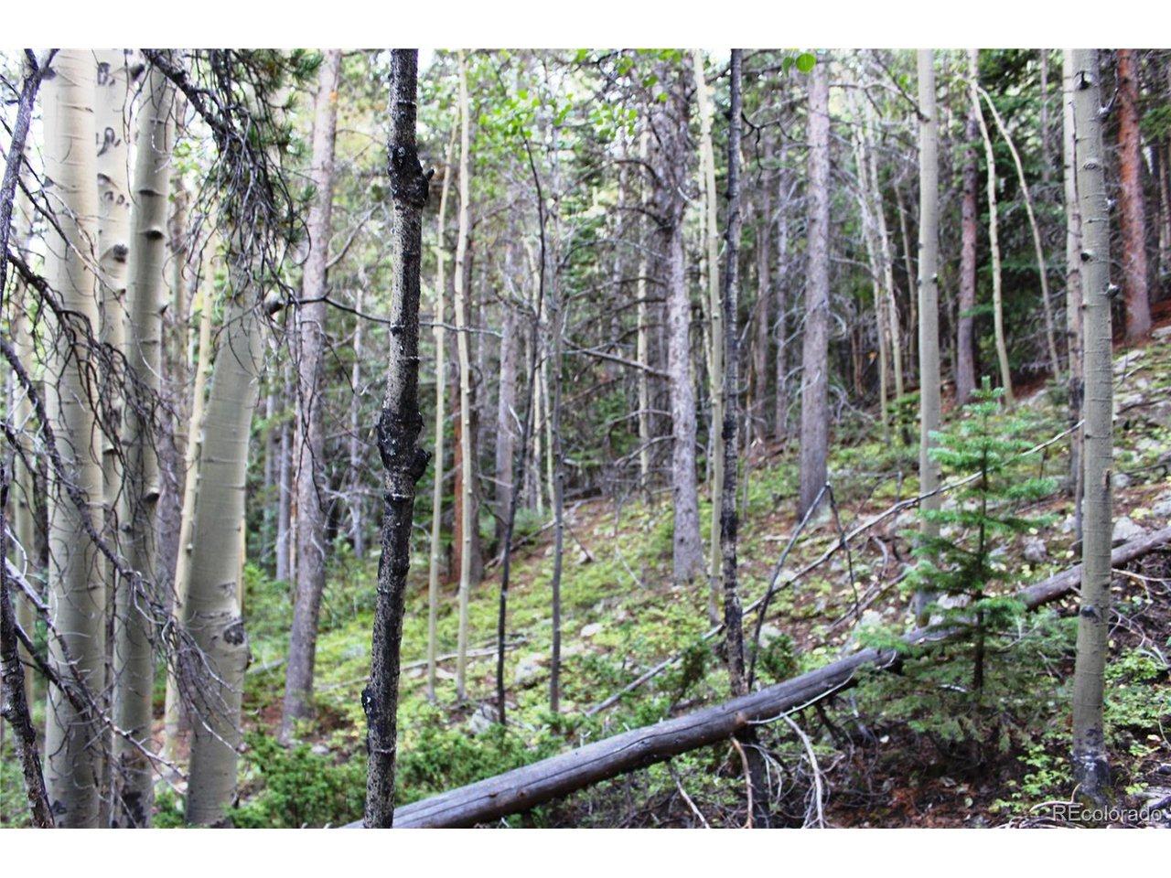 Image 3 Image 3