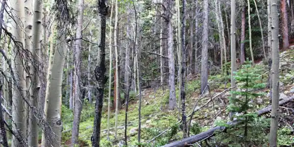 Image 3 Image 3