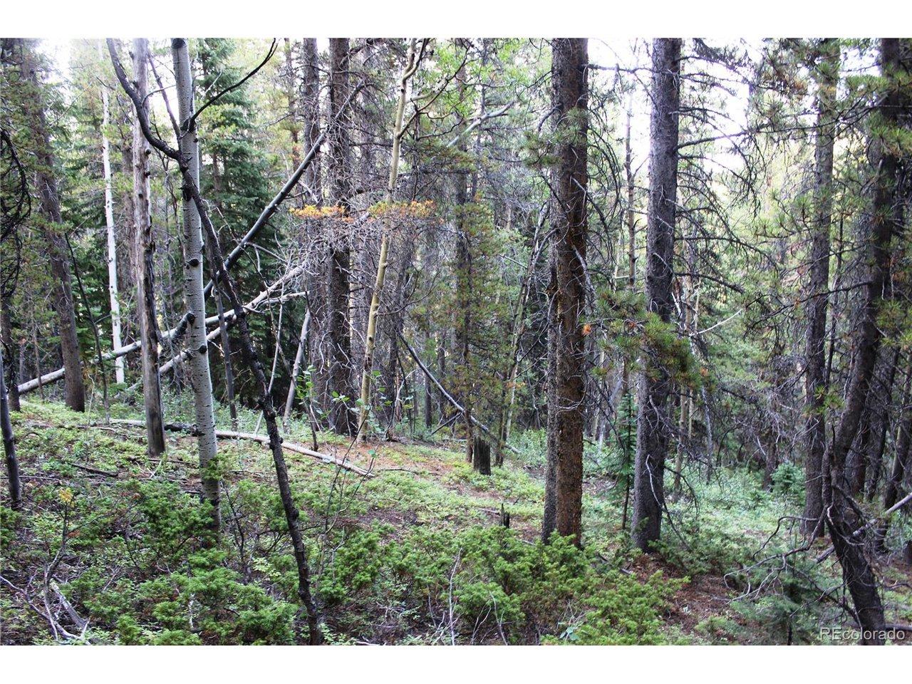 Image 4 Image 4