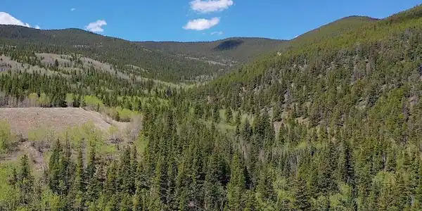 Image 3: View of Rustler MS parcel Image 3: View of Rustler MS parcel