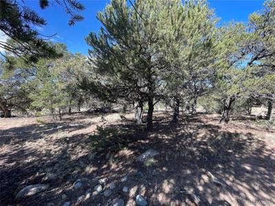 3545 Fallen Tree Pl