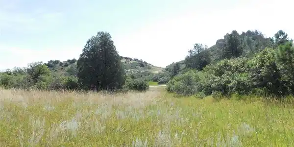 Image 3 Image 3