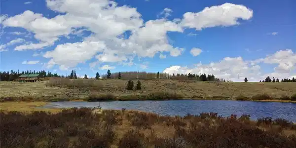 Foxtail Ct